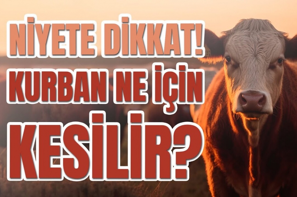 Kurbanınız Yetimlere Gitsin, Videosu Cebinize Gelsin!